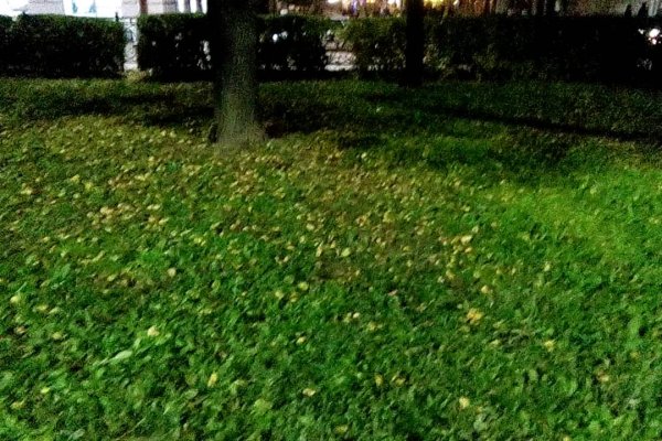 Кракен маркетплейс зеркало