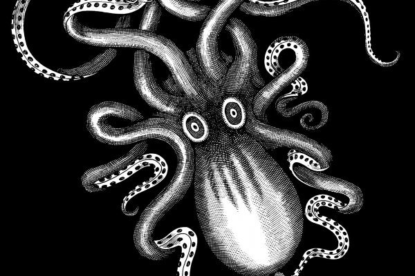 Не работает сайт kraken