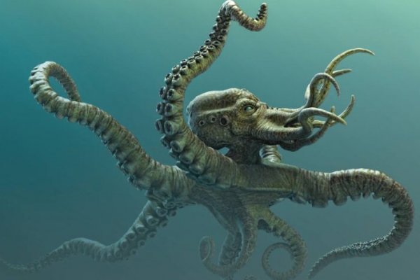 Kraken dark