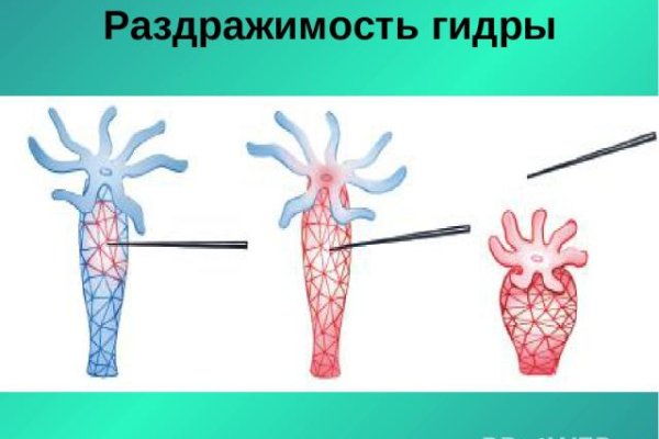 Кракен сайт krakens13 at