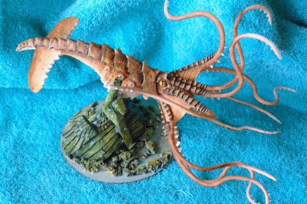 Kraken площадка